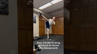 Easy Karate Kicking Workout at Home No Equipment Needed [upl. by Lezley]