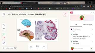 Telencephalon amp Diencephalon  Cerebral Cortex  lobs [upl. by Leugar]