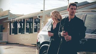 Klaus amp Caroline Klaroline ● In My Blood [upl. by Adnohs]