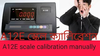 A12E scale calibration [upl. by Esinej123]