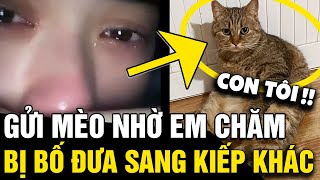 Con gái mang bầu GỬI MÈO nhờ em chăm hộ BỐ Ở NHÀ rủ bạn đưa mèo SANG KIẾP KHÁC  Tin Nhanh 3 Phút [upl. by Aihselat]