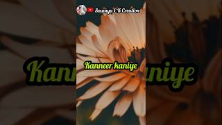 Kanneer Kaniye Song 🥰🎧🎤 ഒരു ചെറിയ ശ്രമം🙏trending song entertainment shortsfeed [upl. by Leilani119]