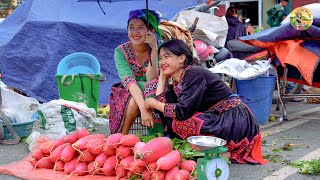 Harvest radishes to sell at the market  gardening  everyday life  Bếp Trên Bản [upl. by Nidak]