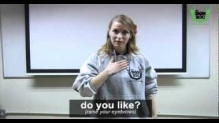 Basic Phrases in Irish Sign Language 01 [upl. by Odel468]