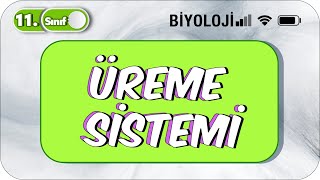 11 Sınıf Biyoloji Üreme Sistemi TEK VİDEODA KONU ANLATIMI ✍️ [upl. by Irma]