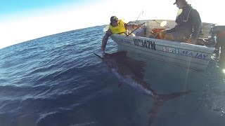 Catching a Sailfish at Ningaloo in a tinny [upl. by Tubb]