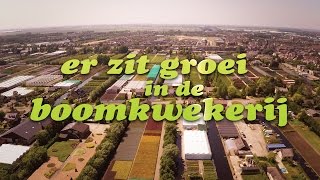 Er zit groei in de boomkwekerij [upl. by Adnertal]