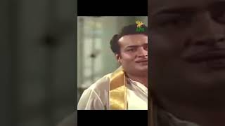 Thillana Mohanambal Movie Best Scene l Sivaji Ganesan  Padmini  Manorama  APN Films [upl. by Chemar]