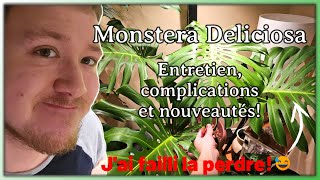 Monstera Deliciosa  Guide dEntretien  Complications et Introduction de Nouveautés [upl. by Deste]