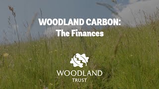 Woodland Carbon  The finances [upl. by Niklaus646]