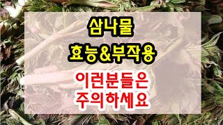 삼나물 효능과 부작용 잘 알고 드셔야해요 [upl. by Zanahs]