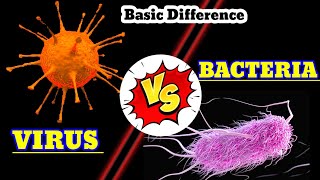 Virus vs Bacteria Whats the Real Difference  Microbiology Explained virusvsbacteria virus [upl. by Nileek]