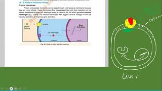 Mode of Hormone action xii Biology National book Foundation Federal board [upl. by Ahsilat911]