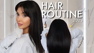 Ma ROUTINE Cheveux 2023  Lisa Ngo x Luxeol [upl. by Keynes]