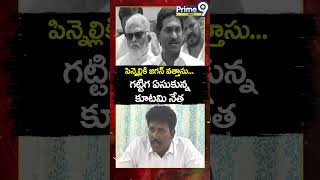 పిన్నెల్లికి జగన్ వత్తాసు గట్టిగ ఏసుకున్న కూటమి నేత  Pinnelli Ramakrishna  Jagan  Prime9 News [upl. by Trotta917]