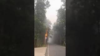 Deer park  Jhargram roadtripjhargramnaturelovememories2024 [upl. by Turrell]