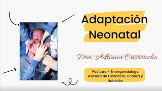 ADAPTACIÓN NEONATAL  DRA ADRIANA CRISTANCHO [upl. by Deeas]