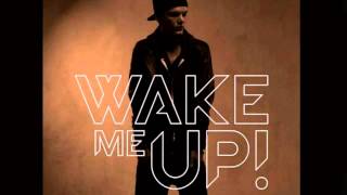 Avicii  Wake Me Up Official Instrumental [upl. by Jessee]