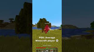 Most legit minecraft player [upl. by Hirz]