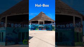 Viaje a Holbox 14 Septiembre 2024 [upl. by Punke]