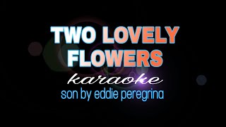 TWO LOVELY FLOWERS eddie peregrina karaoke [upl. by Eceirtal620]