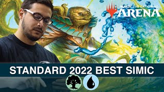 MTG Arena Standard 2022 Best Simic with Ali Aintrazi Bo1 Format [upl. by Haland]