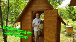 Călătoriile cu Gust te invită în Stupina din Codrii Moldovei [upl. by Sachi]