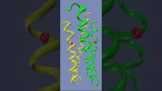 Conformations of a sensor histidine kinase [upl. by Aliuqehs670]