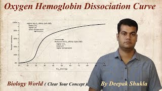 Oxygen Haemoglobin Dissociation Curve  Oxyhaemoglobin Dissociation Curve [upl. by Acired]