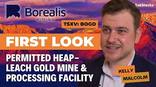 First Look Borealis Mining TSXV BOGO  Permitted HeapLeach Gold Mine in Nevada [upl. by Eimmis]