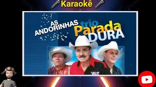 🎤KARAOKÊ AS ANDORINHAS TRIO PARADA DURA🎤 [upl. by Nwahsel462]