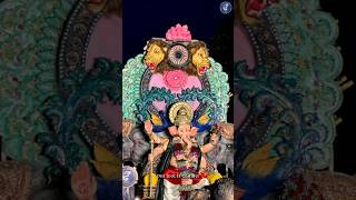 tarsali cha raja ganeshutsav bappa aagman2024 edit jbymtarsali vadodara vadodaraganeshutsav [upl. by Christel506]