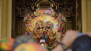 Making of Prasad at Iskcon  Indias Mega Festivals  National Geographic [upl. by Grimbal]