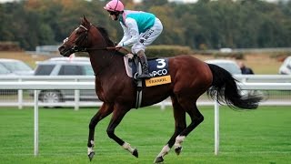 Frankel  The Wonder Horse All 14 Wins [upl. by Mayeda]