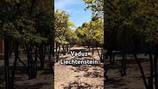 Vaduz Liechtenstein 🇱🇮 [upl. by Ardnekan]