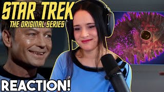 The Immunity Syndrome  Star Trek The Original Series Reaction  Season 2 [upl. by Madelena926]