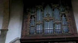 Santa Croce Pipe Organ  Florence Italy [upl. by Allenrad]