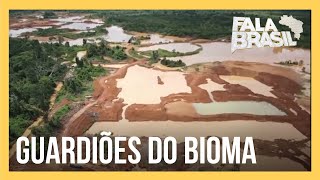 Mineradora é multada em R 27 milhões por extrações ilegais na Amazônia [upl. by Roti]