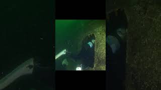 🌊 Wreck Diving Adventure at HMCS Columbia 🌊 [upl. by Eerased570]