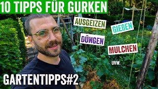 10 Tipps um erfolgreich Gurken anzubauen Richtig Ausgeizen Pflege Düngen Gießen … Gartentipps2 [upl. by Heigl319]