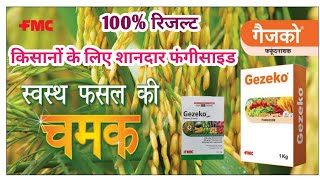 Gazeko Fungicide । FMC Gazeko Fungicide Details । Tebuconazole 50 । Trifloxystrobin 25 WG [upl. by Adok]