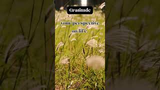 Gratitude  Susan Jeffers  inspirationalquotes quote shorts [upl. by Cassi]