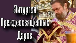 Это особенное время Поста Отец Андрей Ткачёв [upl. by Ahsemad]