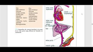 revision3eme sciences Devoir synthese 2 [upl. by Aitercul841]