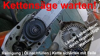 Stihl Kettensäge warten  reinigen  Öl nachfüllen  Kette schärfen mit Handfeile  selber machen [upl. by Anitteb183]