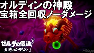 【知恵かり】オルディンの神殿 宝箱全回収ノーダメージ  ゼルダの伝説知恵のかりもの [upl. by Garik420]