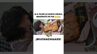 ¡LA COMIDA DE PILÓN DE ESTE FIN DE SEMANA 😲😂😱 humor yucatan pilon humoryucateco pib [upl. by Anaxor]