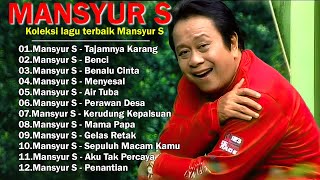 Mansyur S  Full Album Pilihan Lagu [upl. by Wilek]