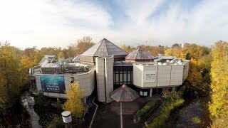 Erlebt Tiere hautnah  im Aquazoo Löbbecke Museum 🐠 [upl. by Ahsenak]