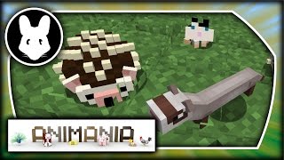 Animania Pets amp Pretties BitbyBit for Minecraft 1112 [upl. by Lindberg]